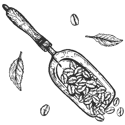 Black sketch drawing of a spoon filled with coffee beans and leaves.
