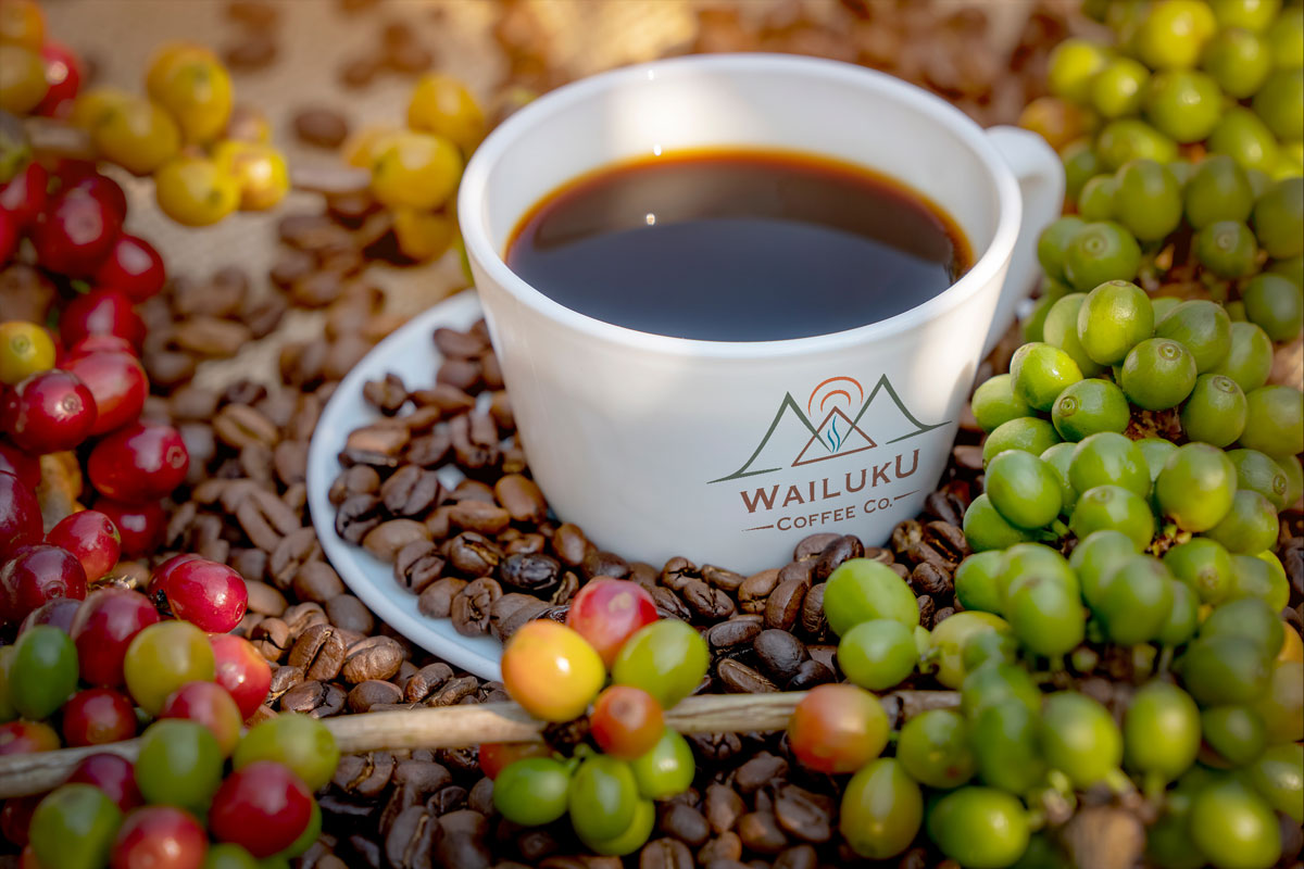 A white coffee cup with the "Wailuku Coffee Co." logo on a saucer, surrounded by coffee beans and berries.